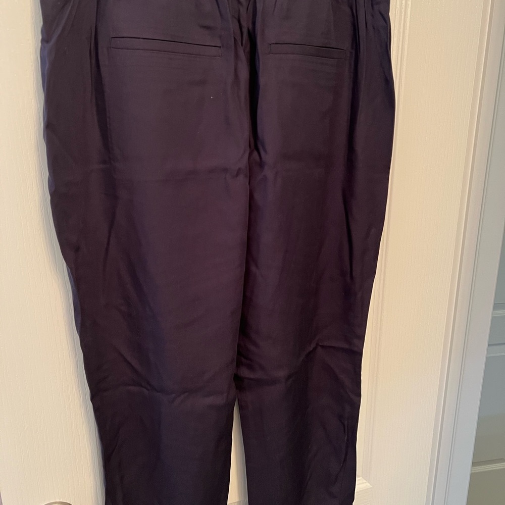 Rw&co blue linen style jogger size large